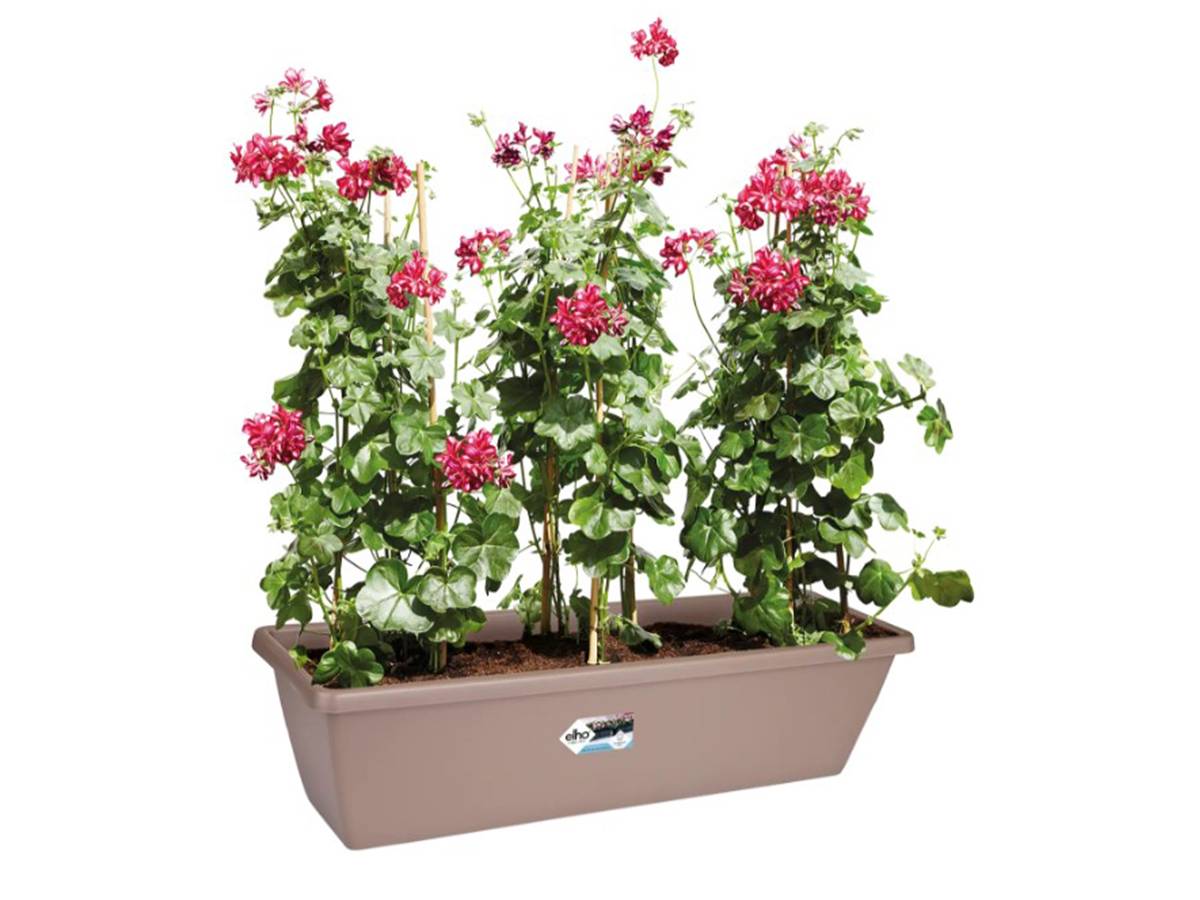 Jardinière rectangulaire Barcelona XL - 80 cm - Taupe - Elho - Image 2