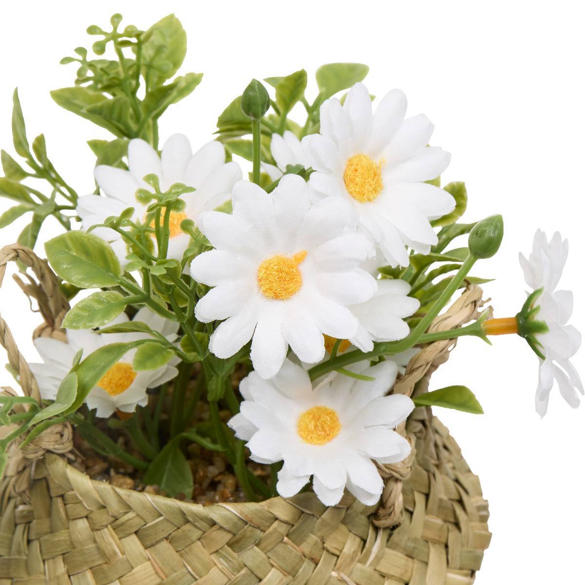 Atmosphera - Composition de Marguerites Tifi H17cm - Atmosphera Créateur d'intérieur - Image 2