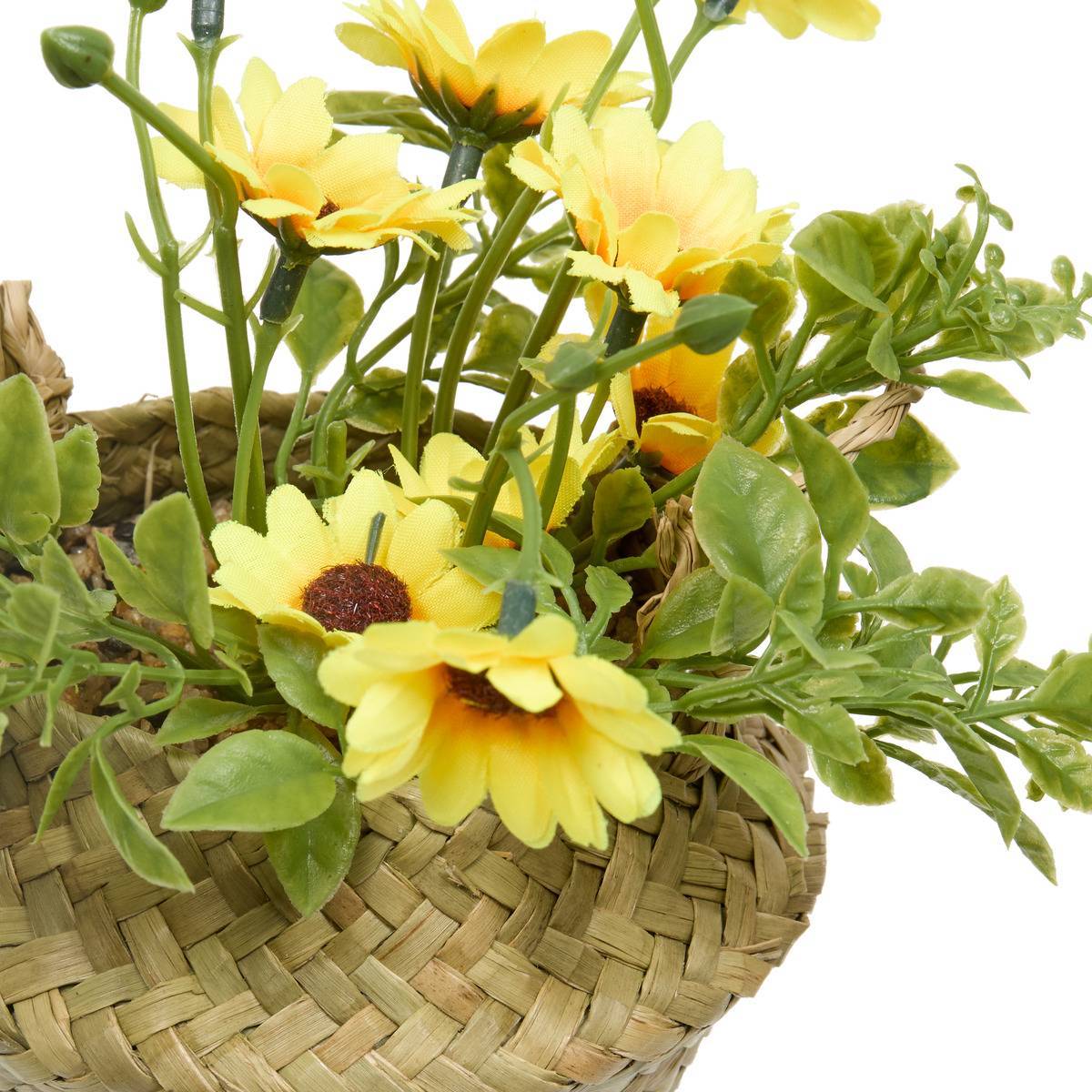 Atmosphera - Composition de Marguerites Tifi H17cm - Atmosphera Créateur d'intérieur - Image 3