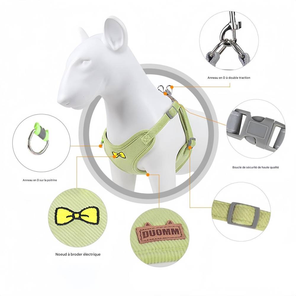Ensemble de laisses pour chat et chienBleu XL IntiMeg - Image 5