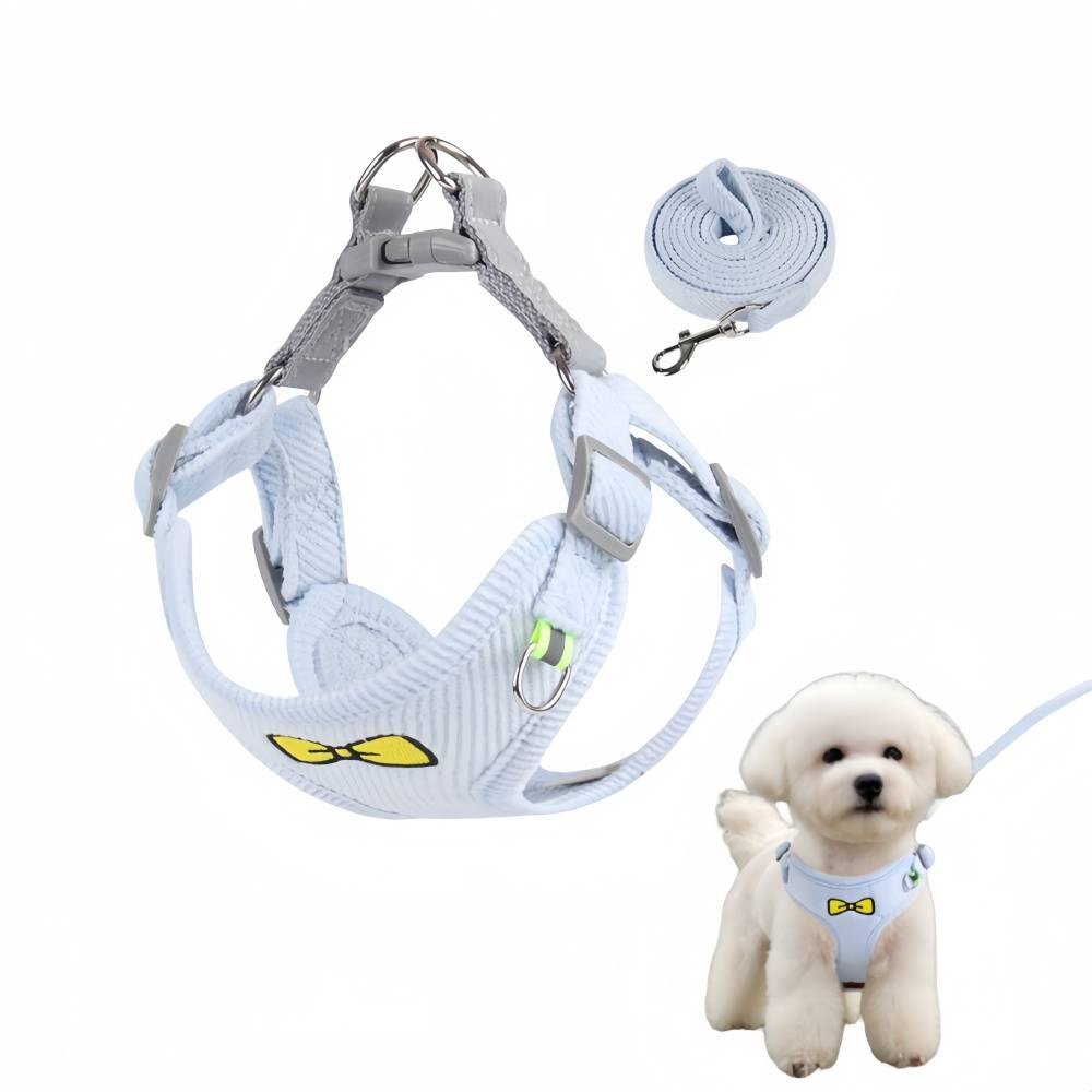Ensemble de laisses pour chat et chienBleu XL IntiMeg - Image 1