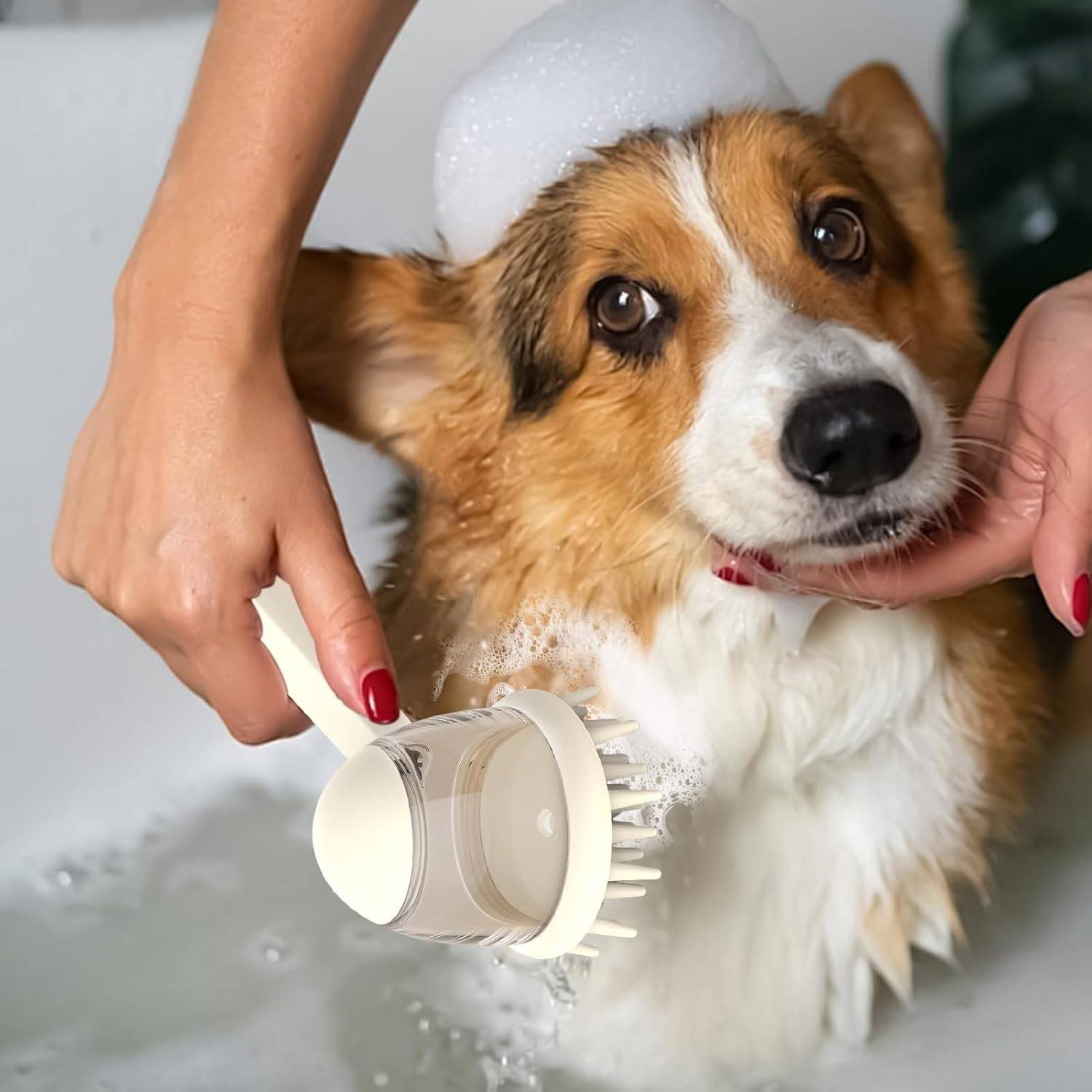 DtopbuyAge - Brosse de Bain pour Chien - Disperse Shampoing & Massage DtopbuyAge - Image 3