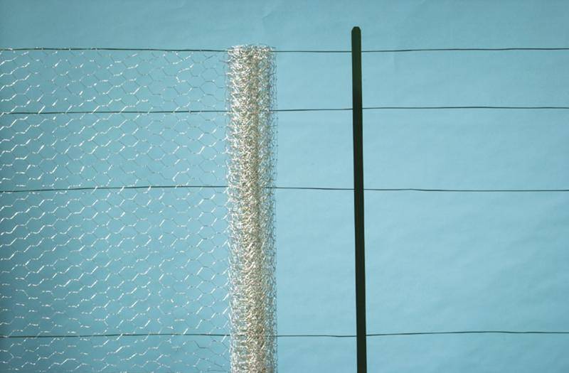 Nortène - Grillage métalique 1 x 25 m - maille 13 x 0,7 mm - structure hexagonale - triple torsion Nortene - Image 2