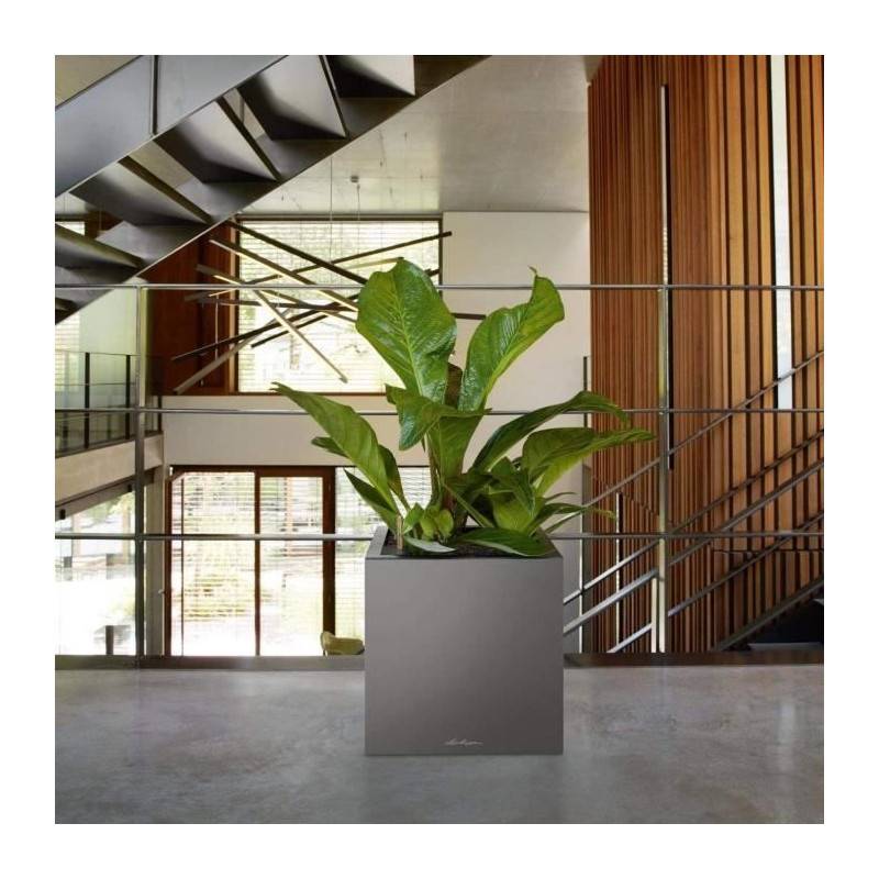 Lechuza - Pot De Fleur Lechuza Canto Premium Cube 40 - Kit Complet, Blanc Brillant - Image 5