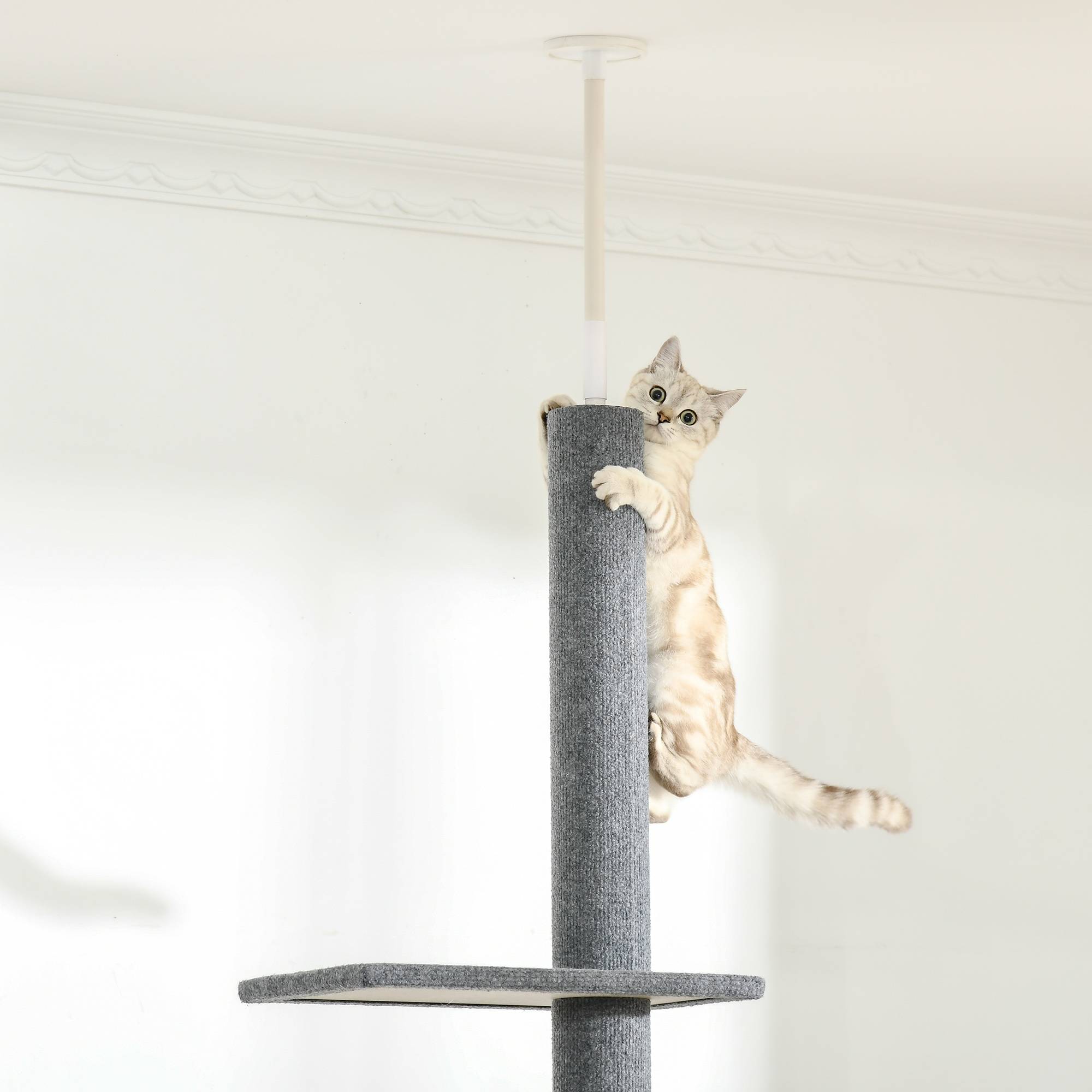 Arbre à chat plafond panneaux de particules et peluche gris 43 x 27 x 260 cm - PANGIVO - Image 10