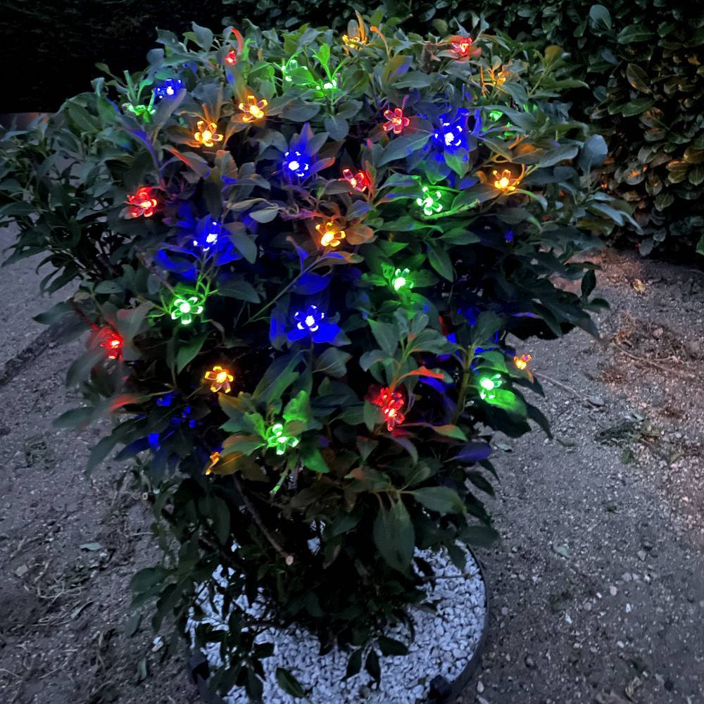 Guirlande lumineuse solaire Fleurs 35 LED - Image 4