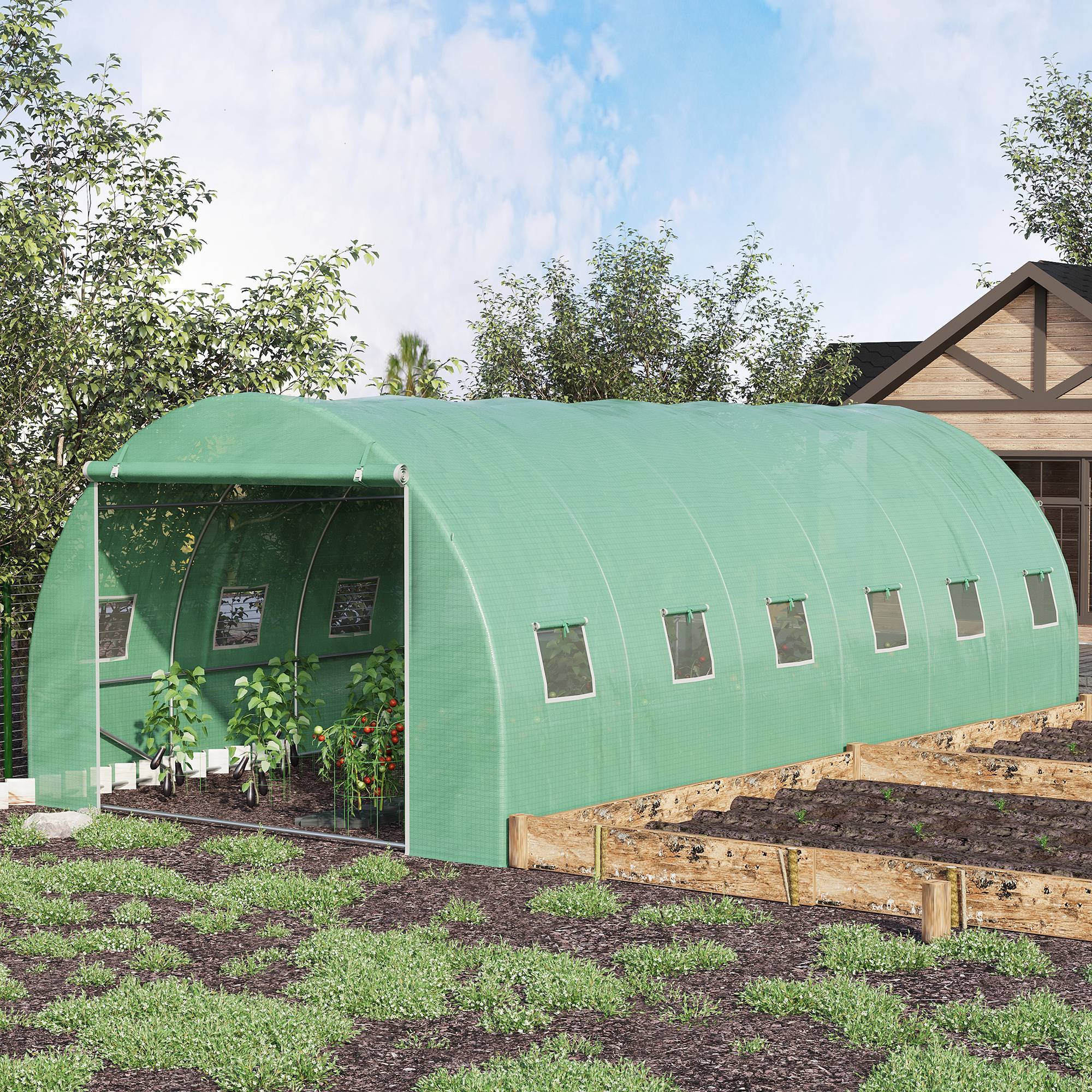 Sans Marque - Serre tunnel avec 12 fenêtres et une porte, serre potagère pour la culture de plantes, légumes et fleurs (verte) - Image 4