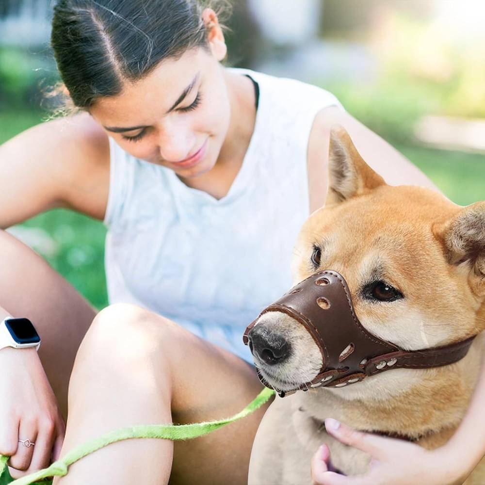 Muselière en cuir pour chien xl - IntiMeg - Image 2