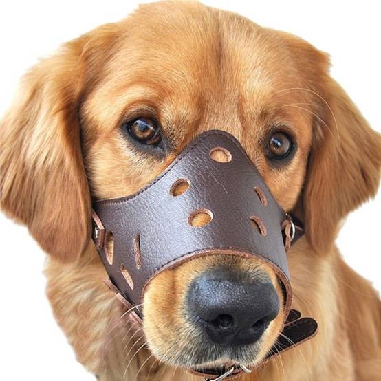 Muselière en cuir pour chien xl - IntiMeg - Image 5