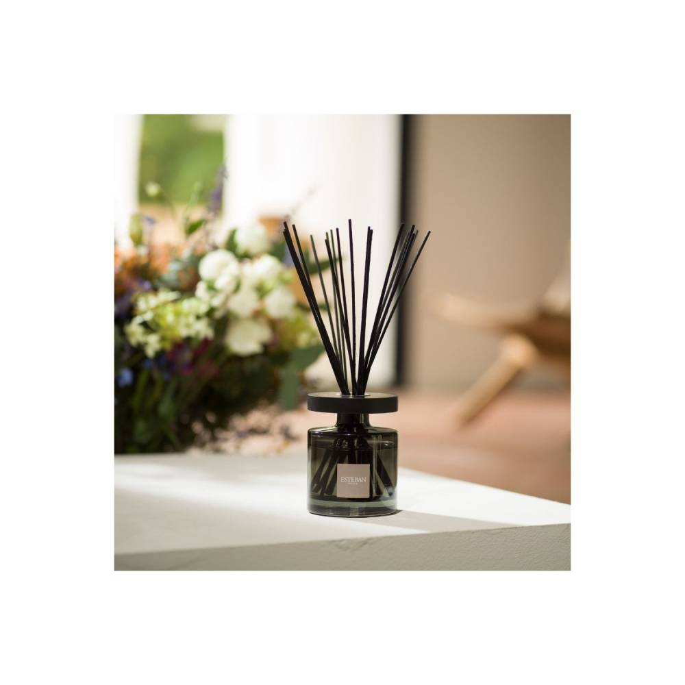 Esteban - Bouquet parfumé Ellipse figue noire 200ml - Image 4