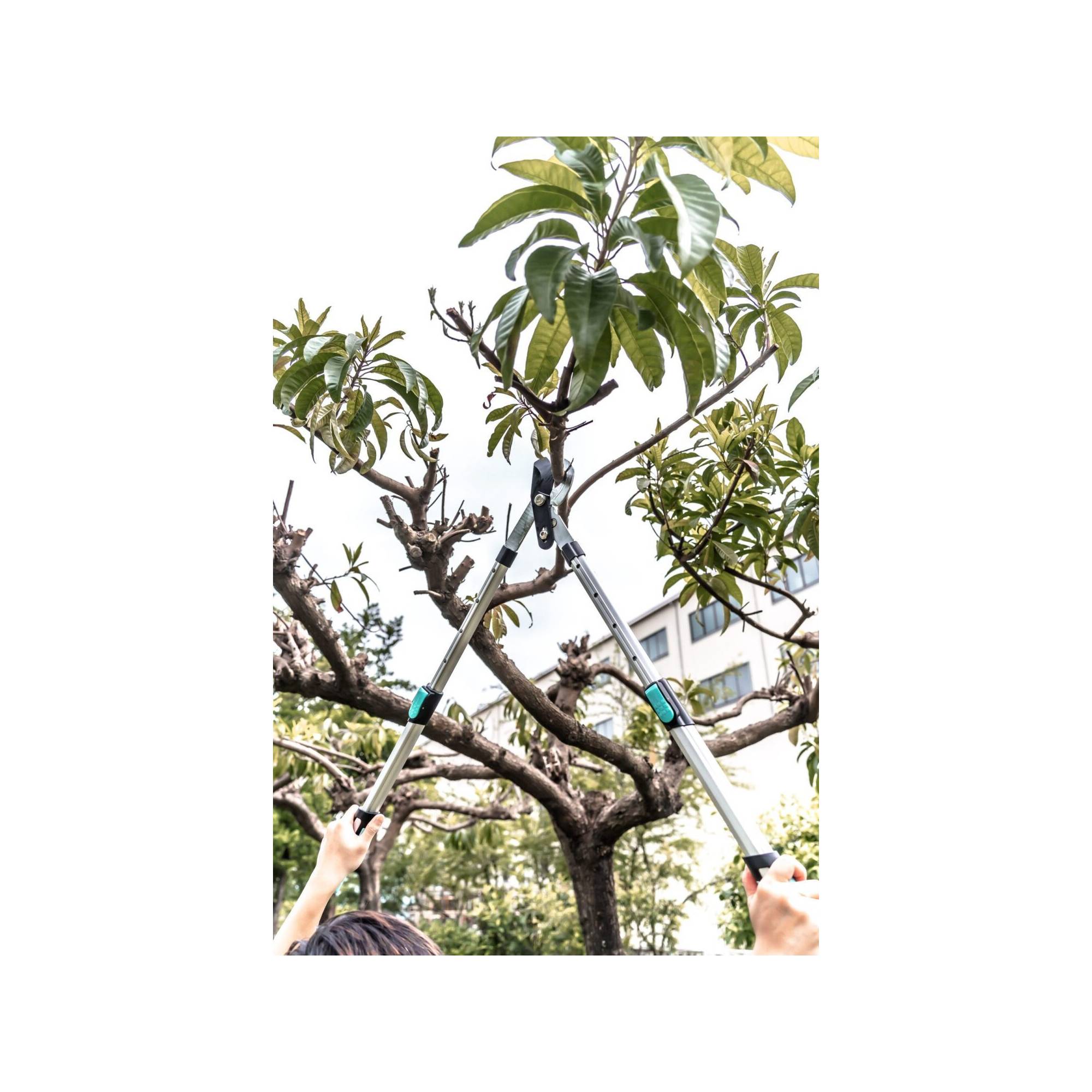 Coupe branche lame franche - Suan - Manche télescopique - Dimensions : 88,5 x 29,5 x 3 cm - Image 3