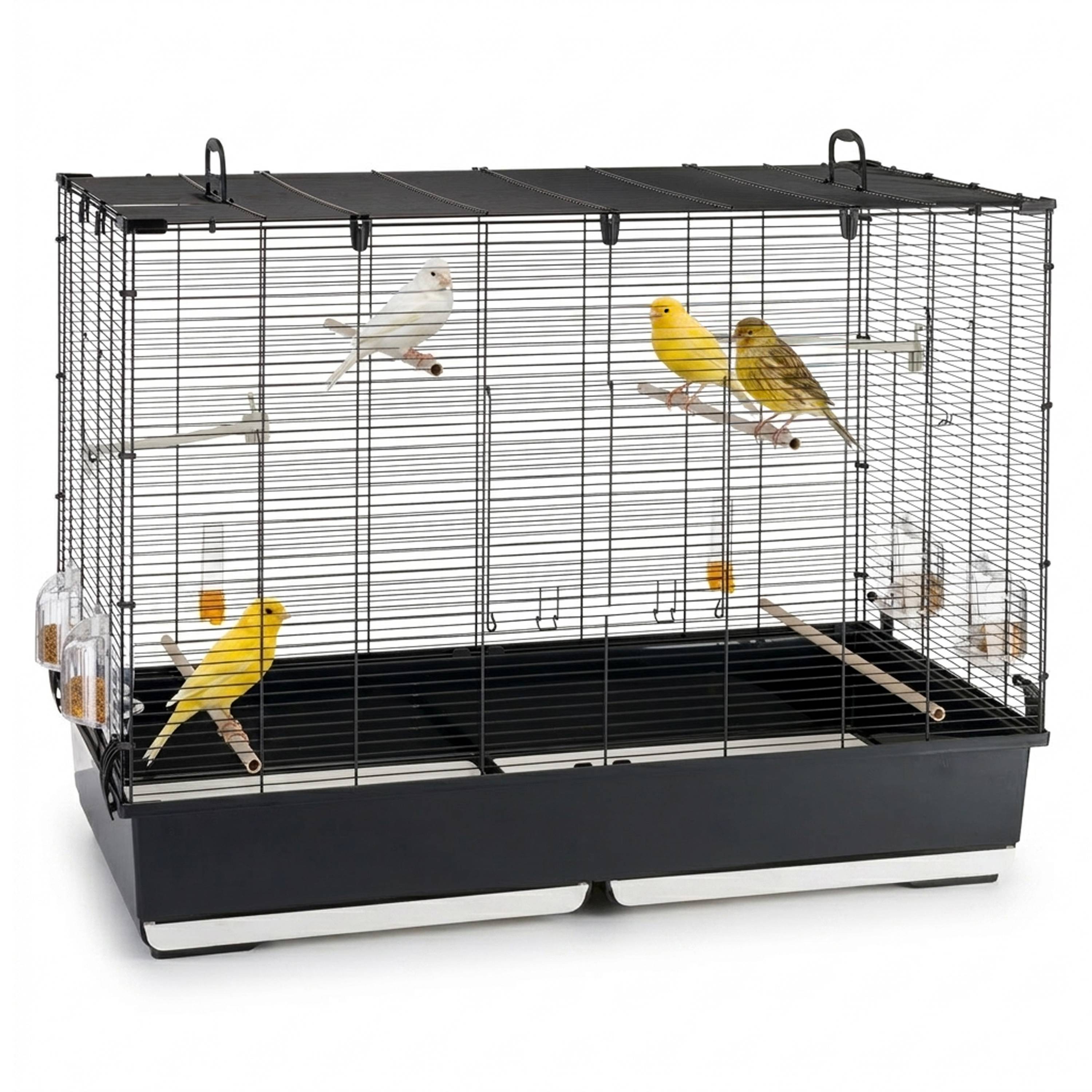 Ferplast - Ferplast Volière Cage à Oiseaux PIANO 7 Grande Cage pour Oiseaux, Canaris, Pinsons, Perruches Ondulées, Inséparables, en Métal, Accessoires inclus - Image 4