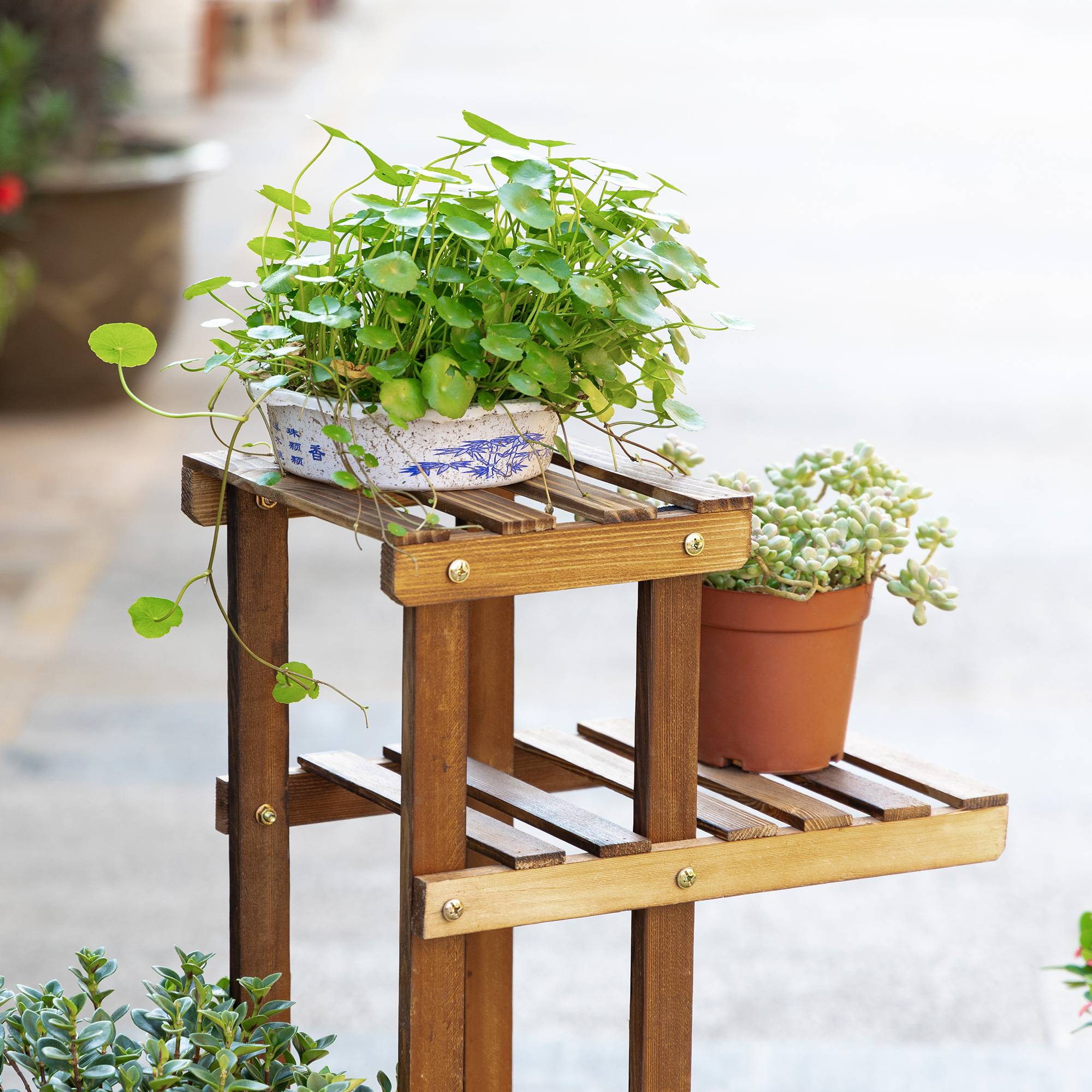 Étagère porte-plantes 6 niveaux en bois carbonisé pour intérieur et extérieur 98x96cm - ComfortXL Outdoor Living - Image 10