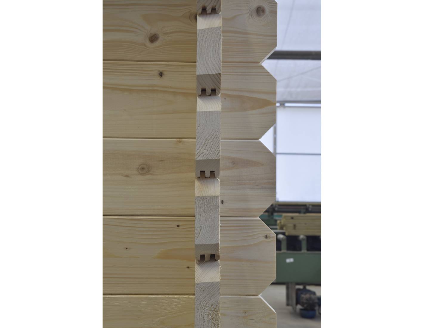 Altanka - Abri de jardin en bois - 6x6 m + terrasse avec balustrade et avant-toit en bois - 48 m2 - DOM749+DOM553+DOM555+POD04 - ALTANKA - Image 5