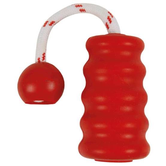 Trixie - Trixie - jouet aquatique pour chien MOT-Fun 9 x 22 cm Coloris aléatoire - Image 1