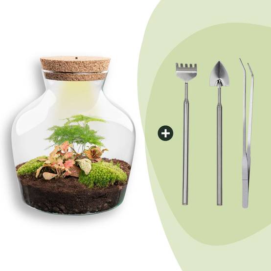Terrarium à composer bouteille en verre recyclé - Ø20-H22cm - avec râteau, pelle et pince - Terrarium DIY - Image 1