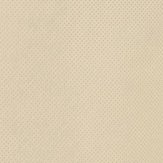 PANGIVO - Housses de protection pour plantes polypropylène beige 236 x 200 cm - PANGIVO - Image 9