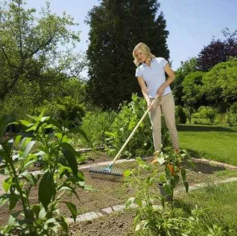 Gardena - Scarificateur 2 en 1 - Image 2
