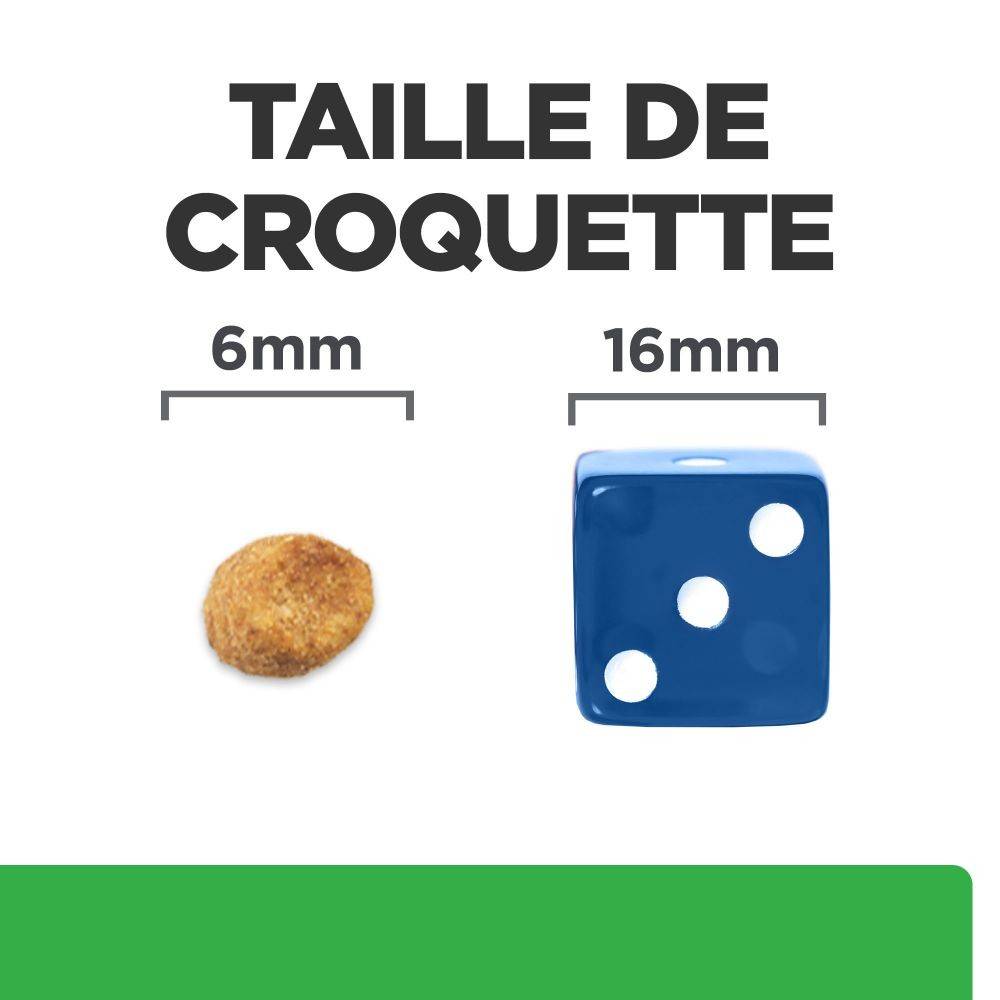 CROQUETTES CHAT ADULT PRESCRIPTION DIETS R/D WEIGHT LOSS - HILL'S 3 kg - Image 5