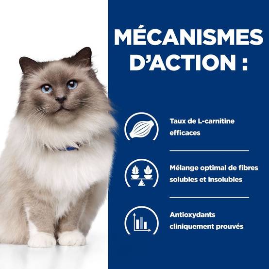 CROQUETTES CHAT ADULT PRESCRIPTION DIETS R/D WEIGHT LOSS - HILL'S 3 kg - Image 4