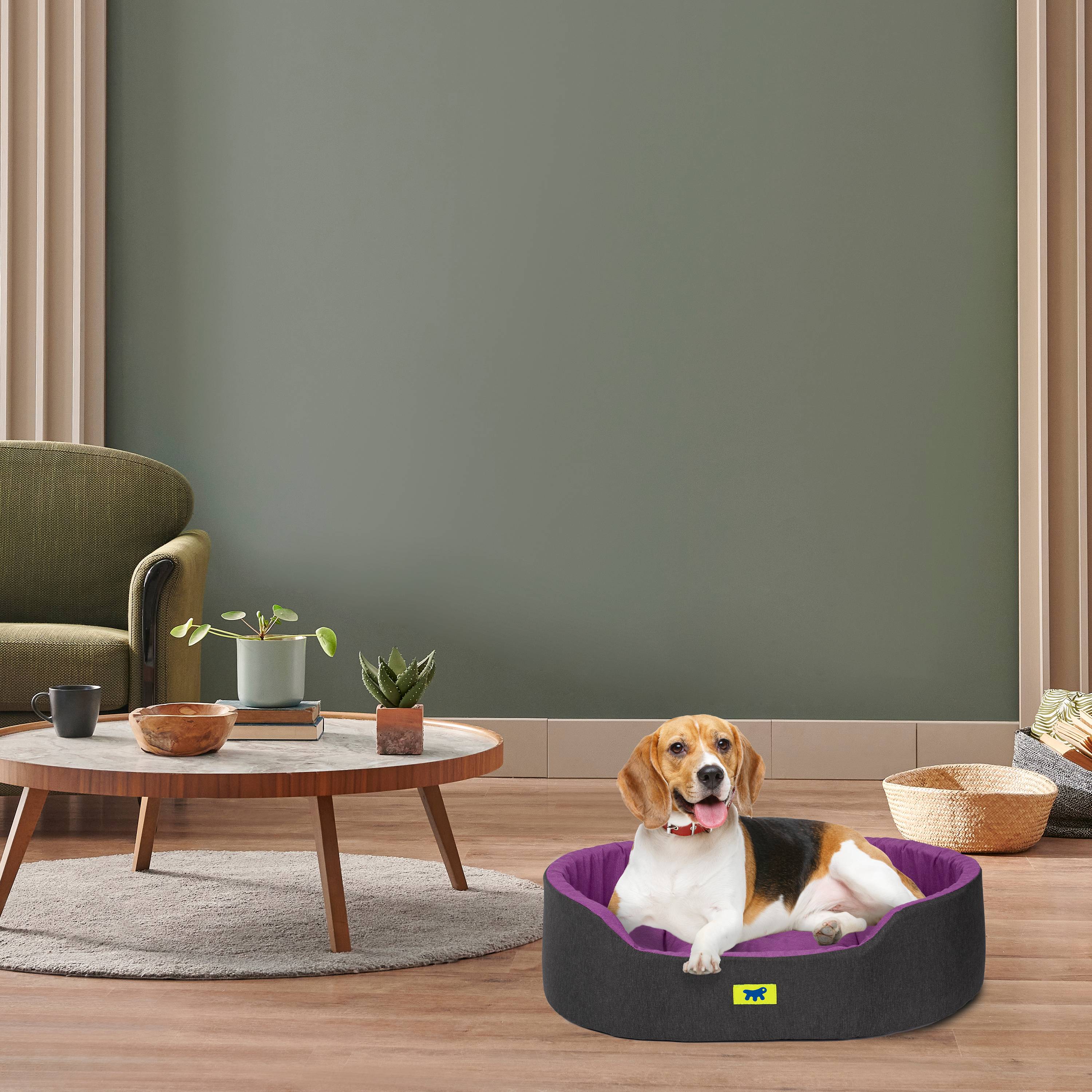 Ferplast - Ferplast Panier Chien Dandy, Coussin Amovible et Lavable, Housse en Coton avec Rembourrage Doux, Idéale également comme Niche pour Chat, 65 x 46 x H - Image 3