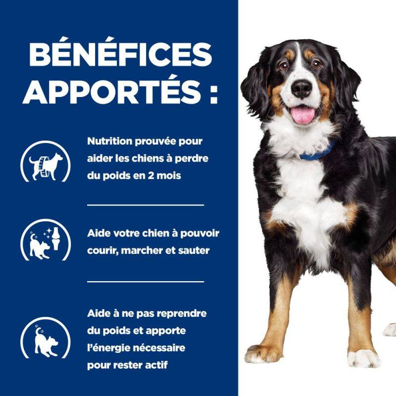CROQUETTES CHIEN ADULT PRESCRIPTION DIETS J/D METABOLIC + MOBILITY - HILL'S 4 kg - Image 4