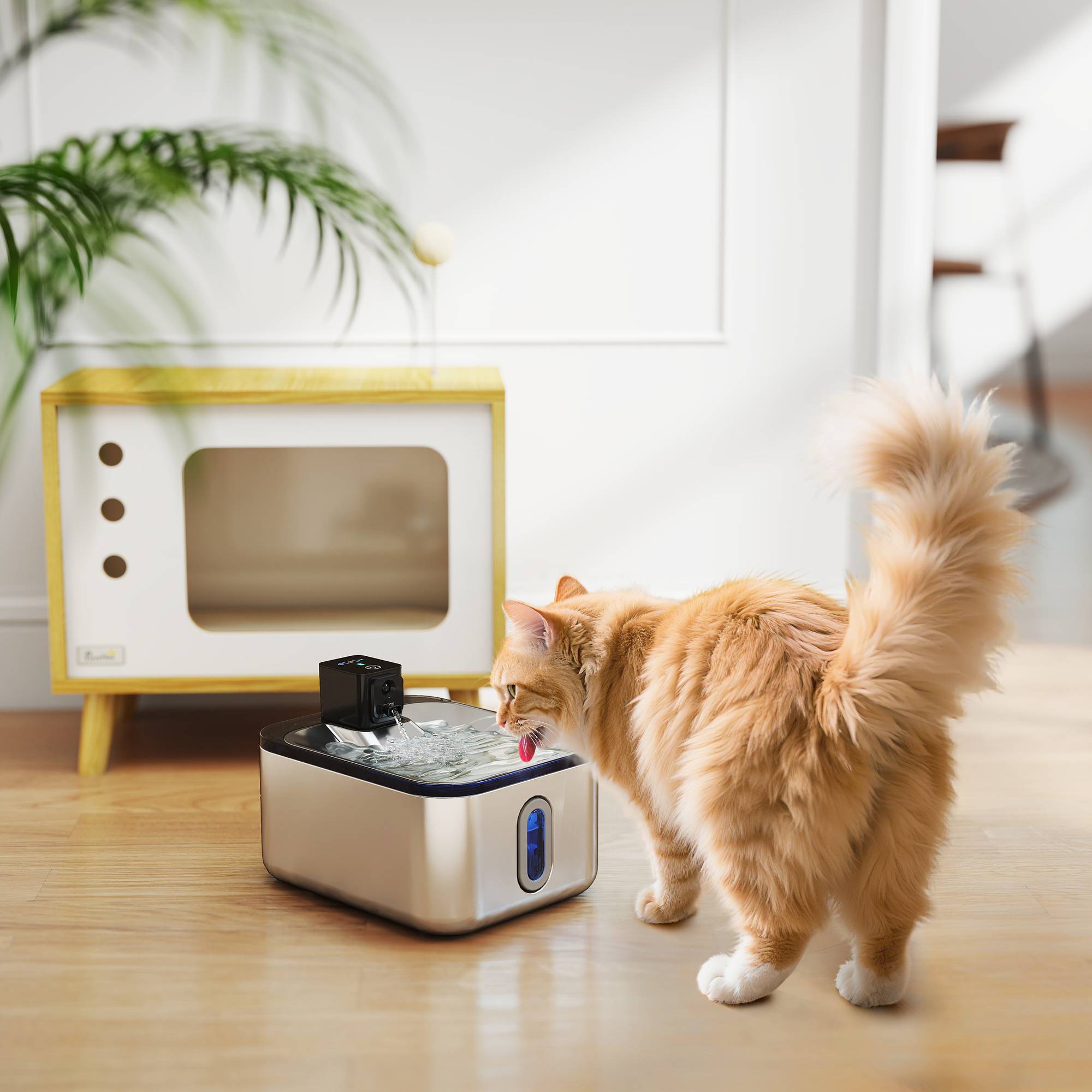 Fontaine eau chat automatique inox 5L silencieuse, filtre 3 étapes, chargeur USB, argent - Image 4
