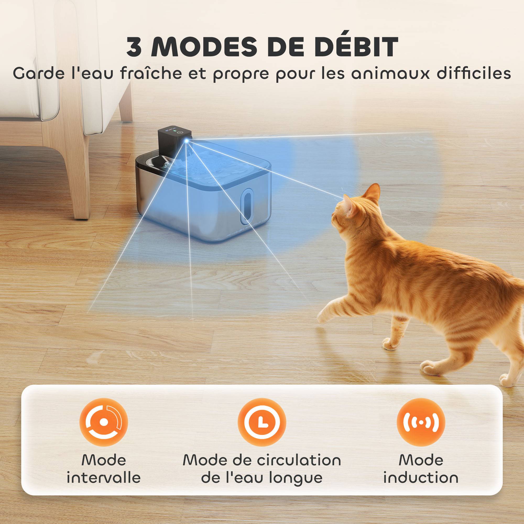 Fontaine eau chat automatique inox 5L silencieuse, filtre 3 étapes, chargeur USB, argent - Image 8