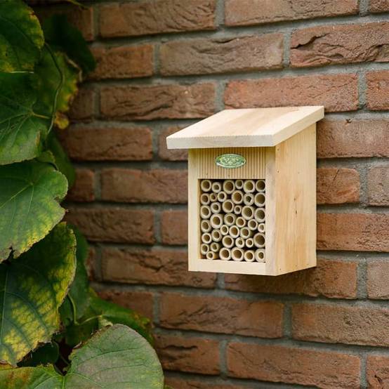Esschert Design - Abri abeilles bois naturel - Esschert Design - Image 3