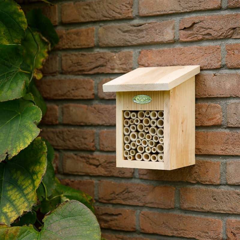 Esschert Design - Abri abeilles bois naturel - Esschert Design - Image 3