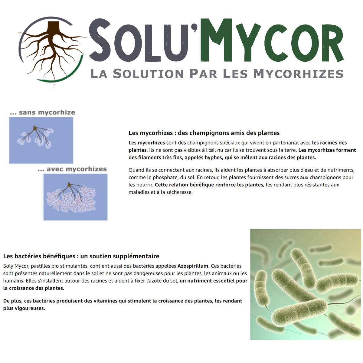 SoluMycor 100 Pastilles Biostimulantes Chanvre Ideal pour Semis et Plantation Mycorhizes et Bacteries Azospirillum - Image 3