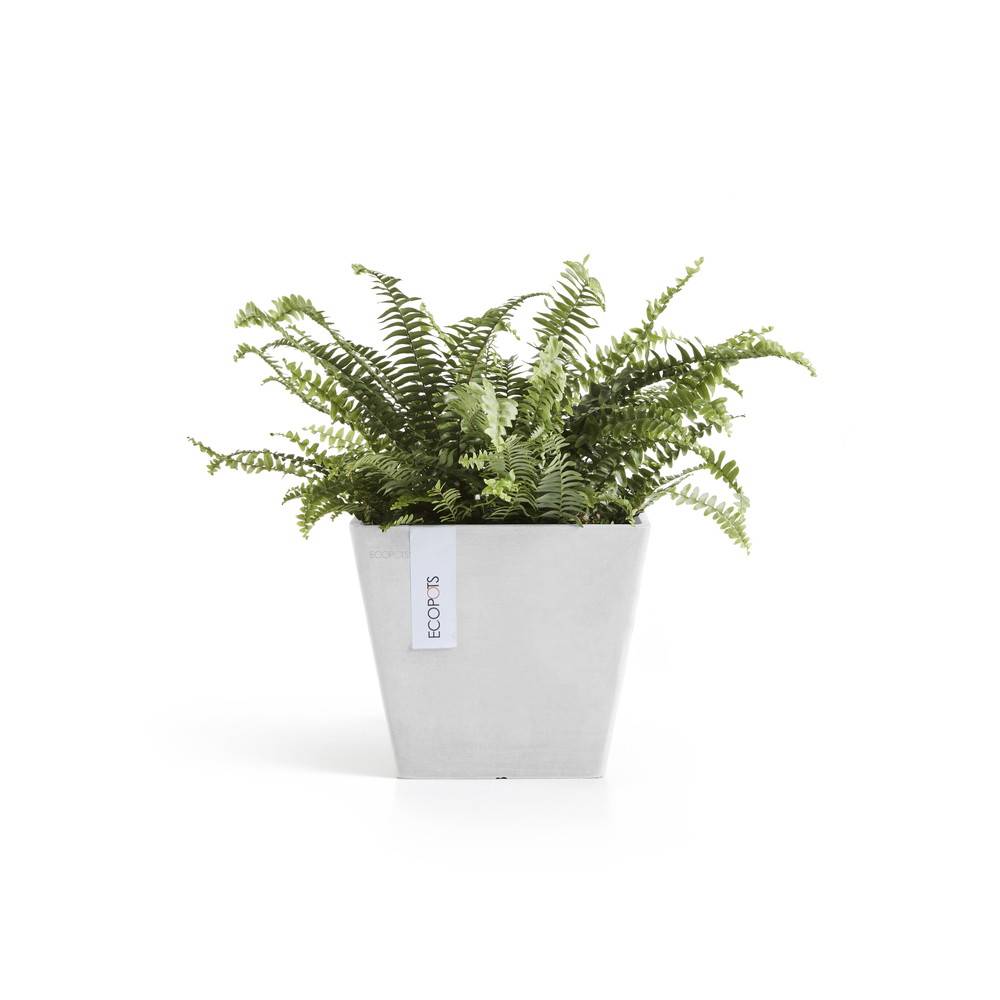 Ecopots - Pot Carré Rotterdam 20 Blanc Pur - 20 x 20 x H. 17,5 cm - 5,2 L ECOPOTS - Image 2