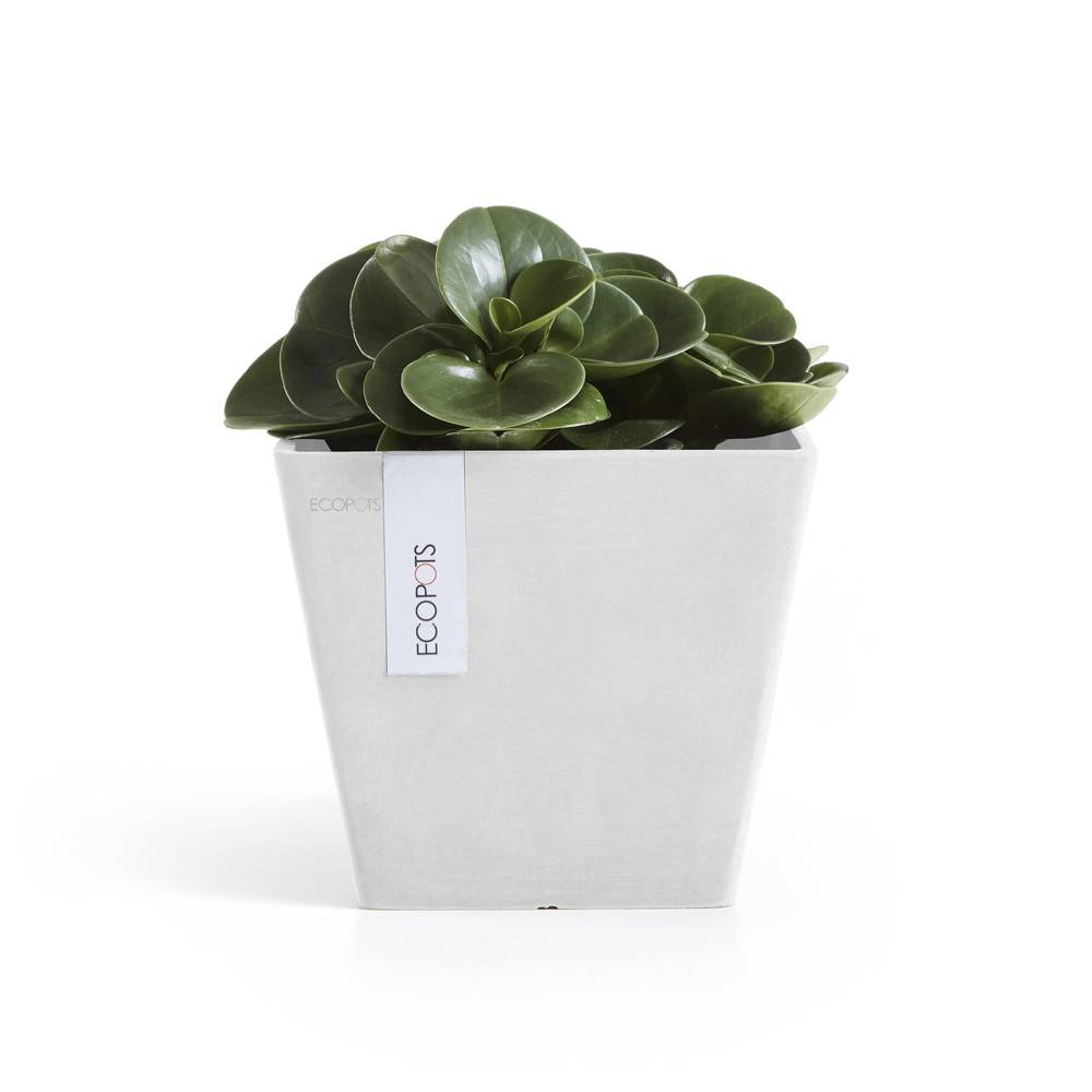 Ecopots - Pot Carré Rotterdam 20 Blanc Pur - 20 x 20 x H. 17,5 cm - 5,2 L ECOPOTS - Image 1