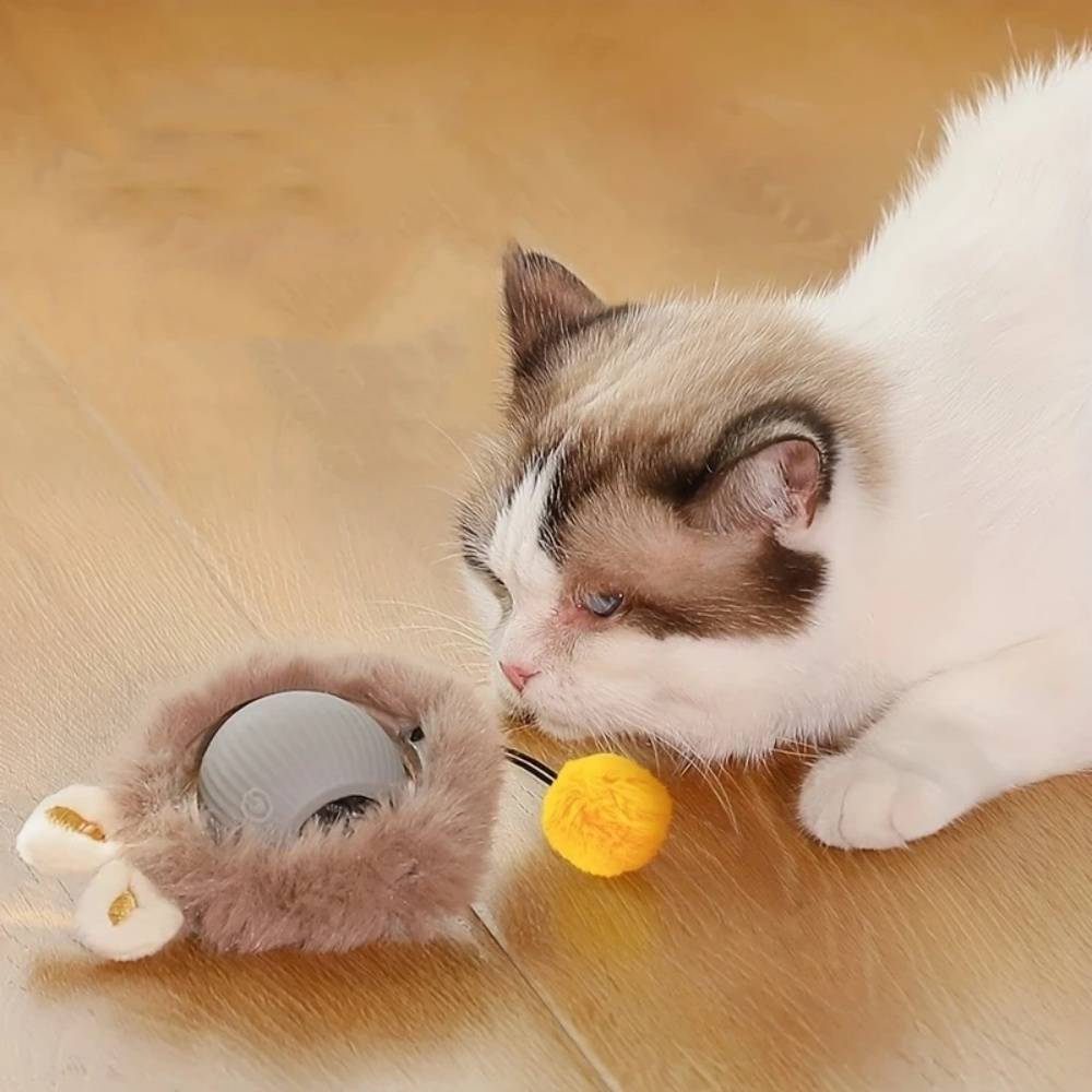 IntiMeg - Jouet pour chat balle en peluche électrique Vert IntiMeg - Image 4