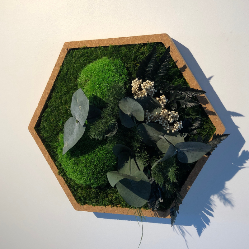Naturalys - Tableau végétal mural stabilisé 34cm Hex - Naturalys - Image 4