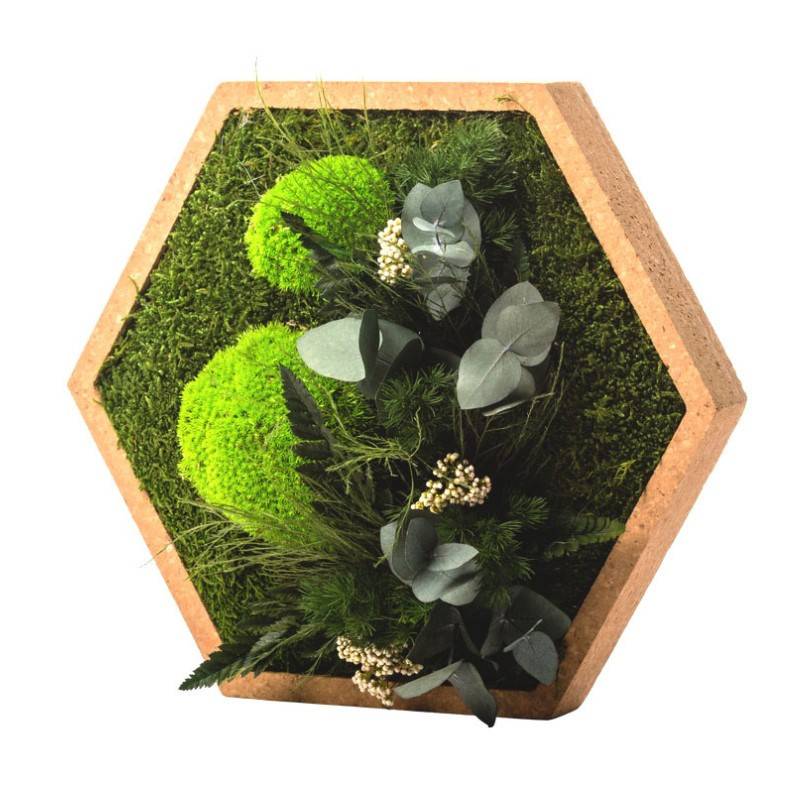 Naturalys - Tableau végétal mural stabilisé 34cm Hex - Naturalys - Image 2