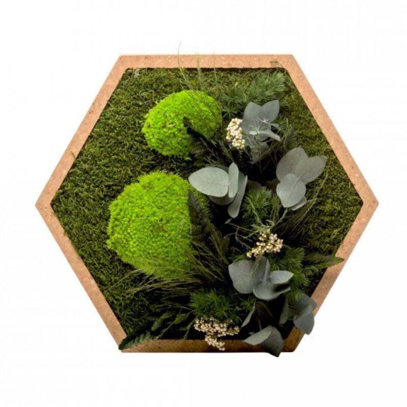 Naturalys - Tableau végétal mural stabilisé 34cm Hex - Naturalys - Image 1