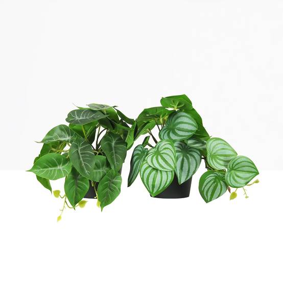 Ligne Deco - Plante artificielle tombante 18cm lot de 2 - Image 2