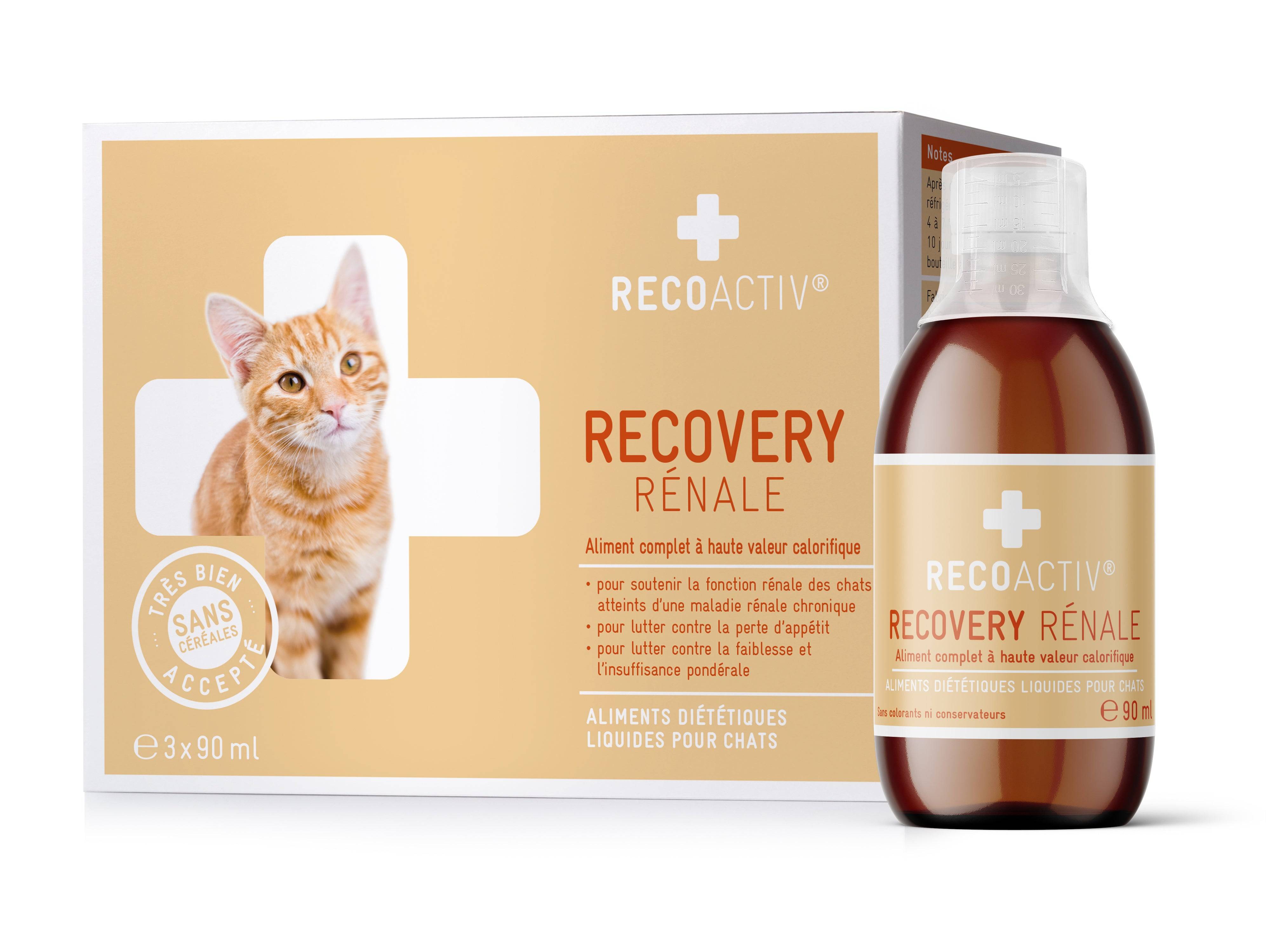 Recovery Rénale Tonique pour chats, 3 x 90 ml, en cas de troubles de la fonction rénale, pendant la convalescence, pour la prise de poids - RECOACTIV® - Image 1