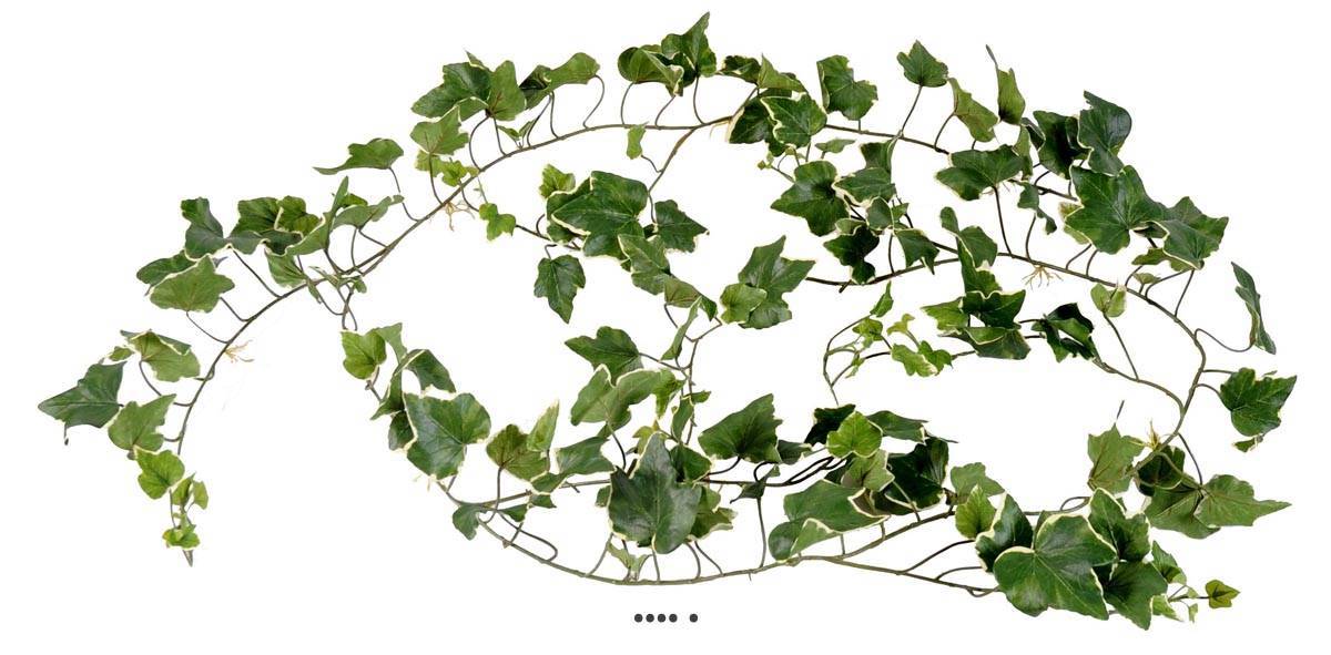 Guirlande de lierre anglais artificiel, anti-UV, L 200 cm Blanc-vert - couleur: Blanc-vert - Image 1