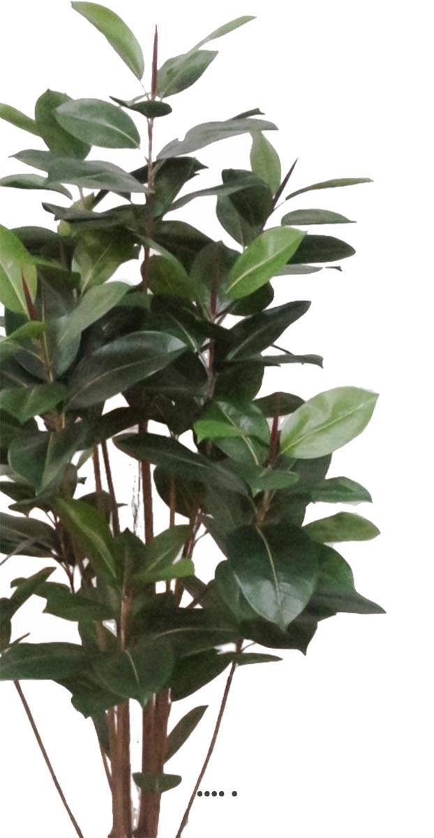 Artificielles - Ficus Robusta factice tronc PE en pot beau et rare H180cm D95cm Vert - dimhaut: H 180 cm - couleur: Vert - Image 3
