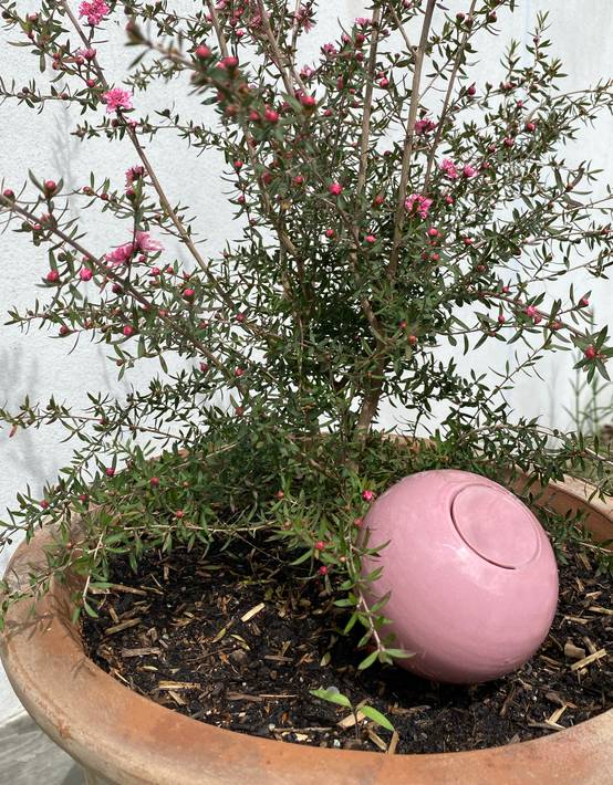 0 - Ollas Emaillés colorés Rose - Image 1