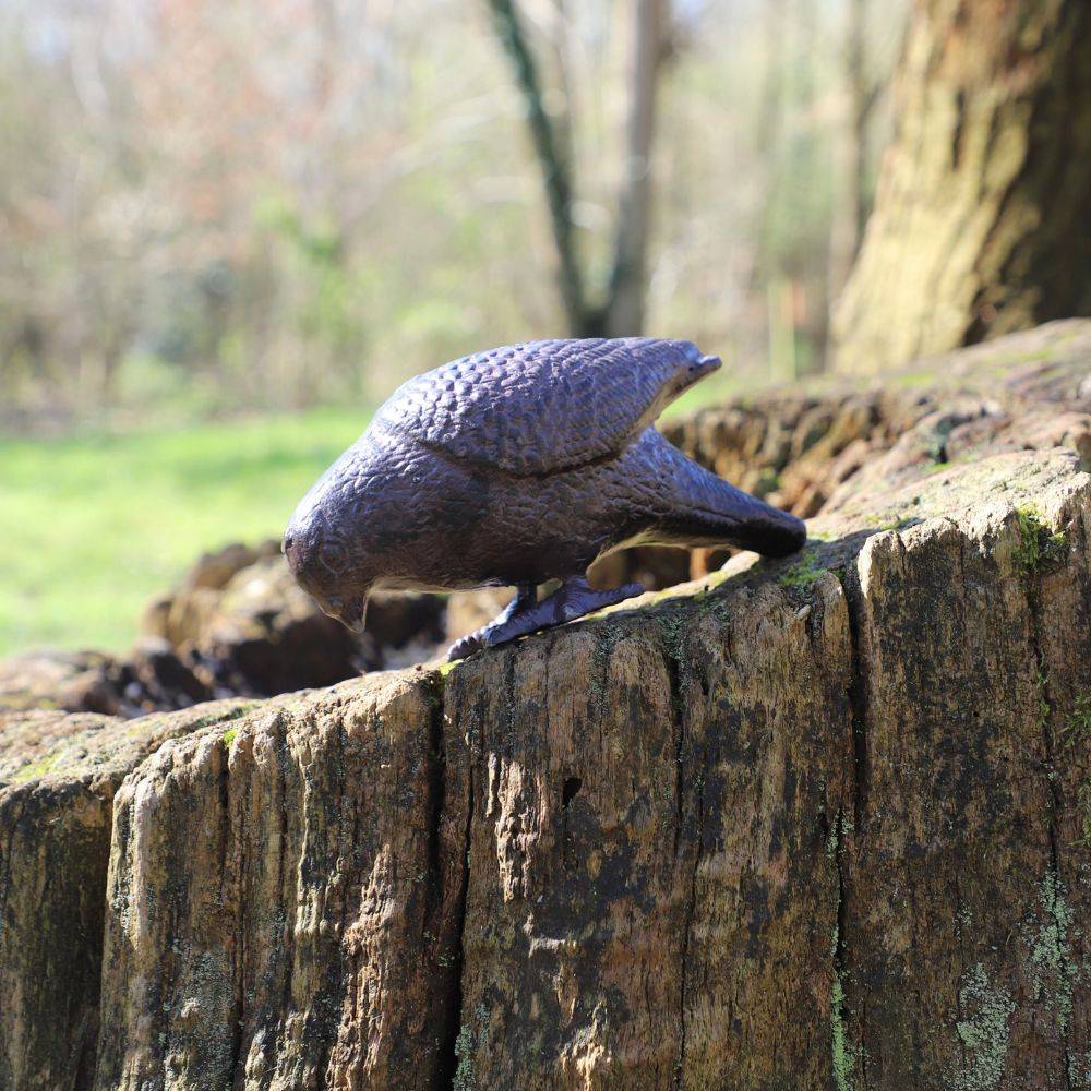 Pigeon en fonte marron 19 x 8 x 9 cm Chemin de campagne - Image 3
