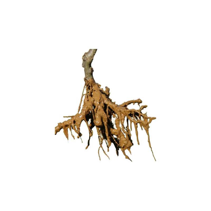 Pralin enrichi en mycorhizes - Agro Sens - Recharge 3.2 kg de poudre pour 4 litres de pralin - Image 3