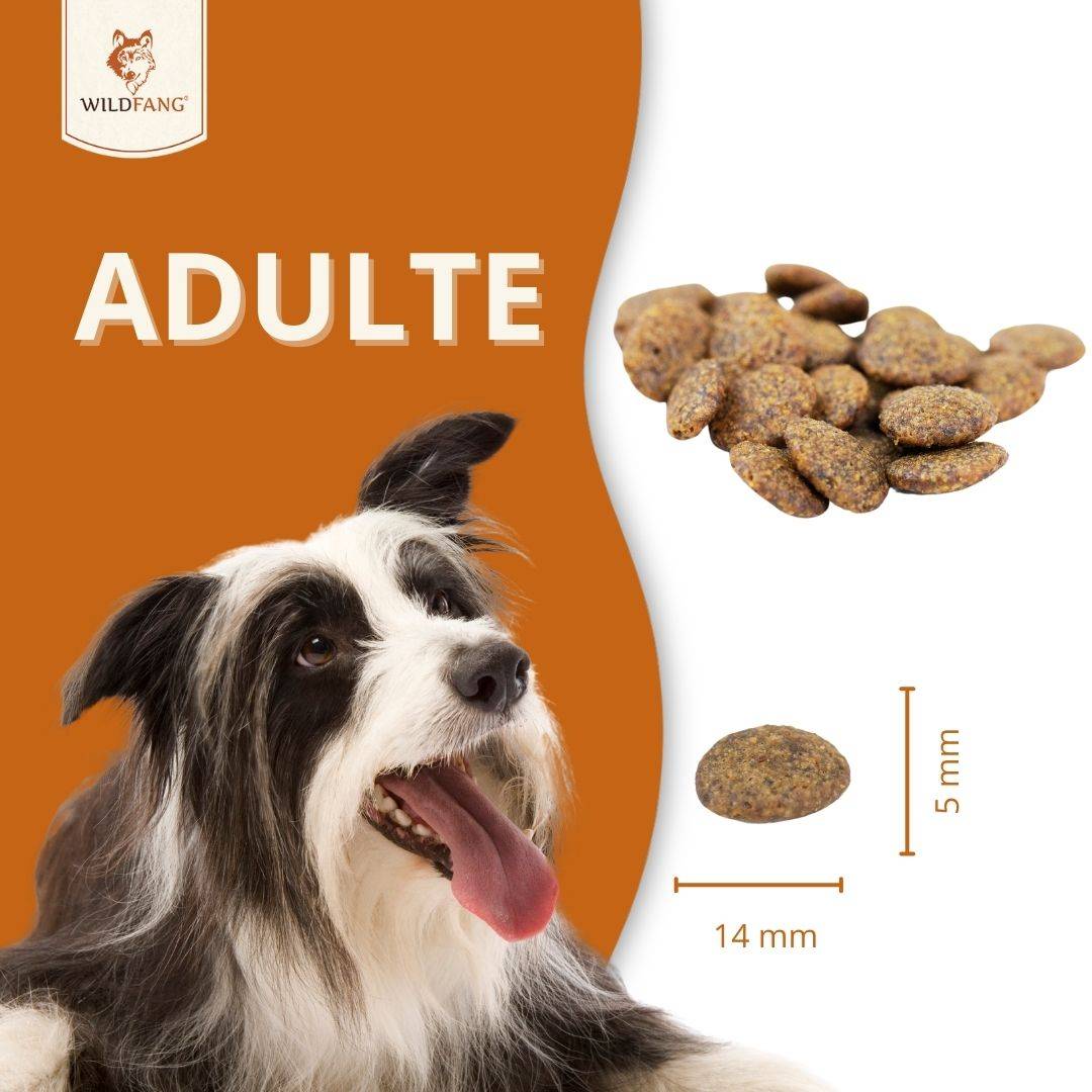 Wildfang - Wildfang — Croquettes sans céréales pour chien adulte, patate douce & mûres, adaptées aux chiens sensibles (recette premium) - Image 5