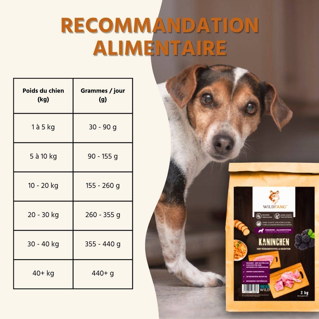 Wildfang - Wildfang — Croquettes sans céréales pour chien adulte, patate douce & mûres, adaptées aux chiens sensibles (recette premium) - Image 7