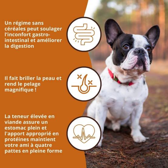 Wildfang - Wildfang — Croquettes sans céréales pour chien adulte, patate douce & mûres, adaptées aux chiens sensibles (recette premium) - Image 6