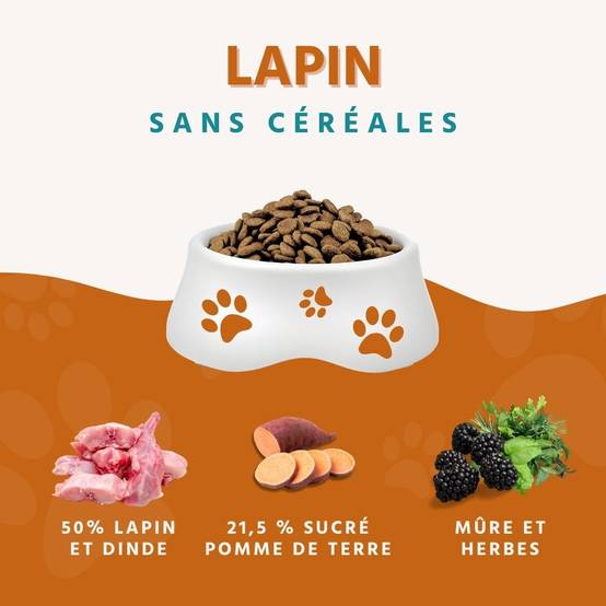Wildfang - Wildfang — Croquettes sans céréales pour chien adulte, patate douce & mûres, adaptées aux chiens sensibles (recette premium) - Image 2