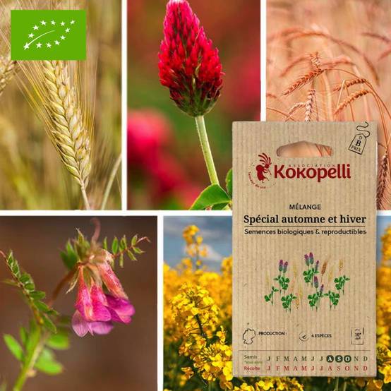 Graines bio à semer - Mélange Spécial Automne et Hiver- Association Kokopelli