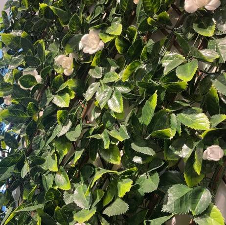 James Grass - France Green - Treillis extensible feuilles de jasmin fleuri, Long 18 m, Hauteur 1 m - Image 2